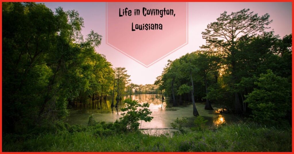 Life in Covington, Louisiana